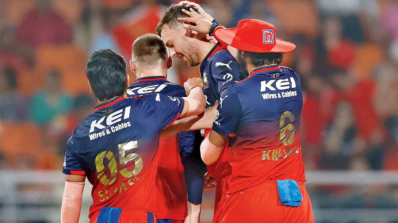 IPL 2025 | 'It feels good to be back,' RCB's Josh after recovering from injury