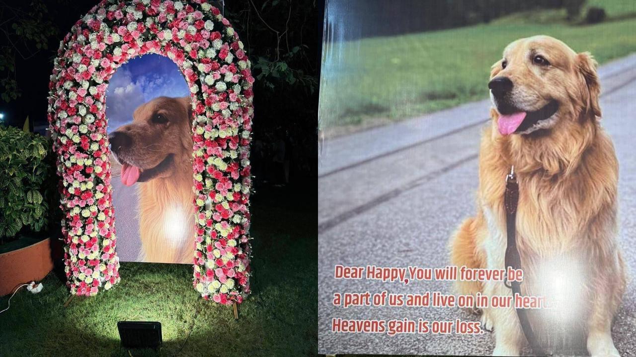 ‘Heaven’s gain is our loss’: Ambani family mourns the demise of pet dog Happy