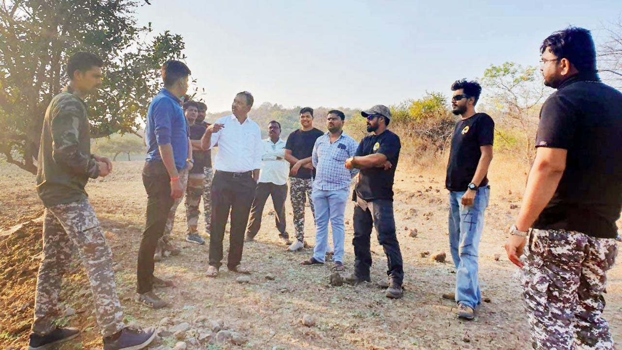 Maharashtra: Hunt for wandering tiger in Solapur suspended