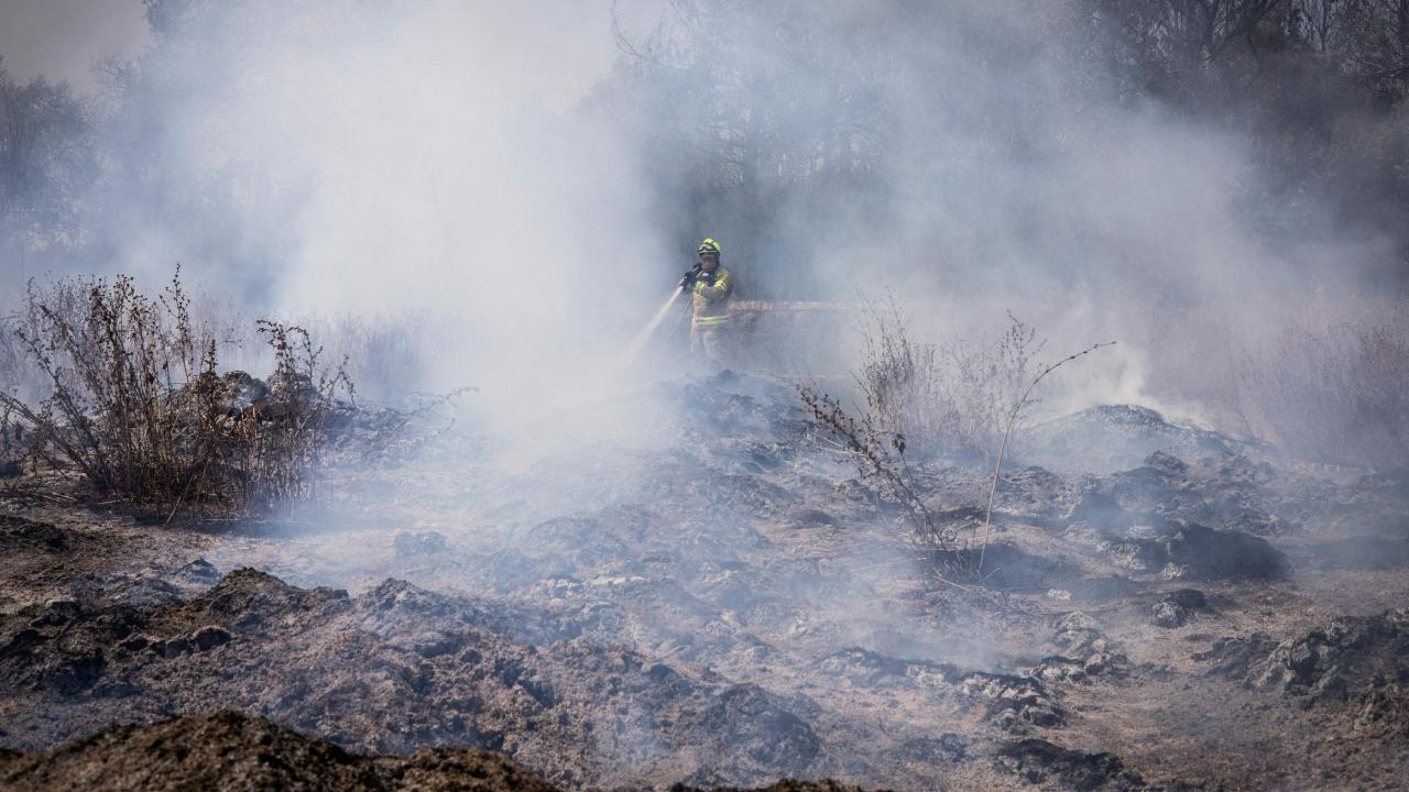 IN PHOTOS: Massive wildfire in Israel, firefighting underway