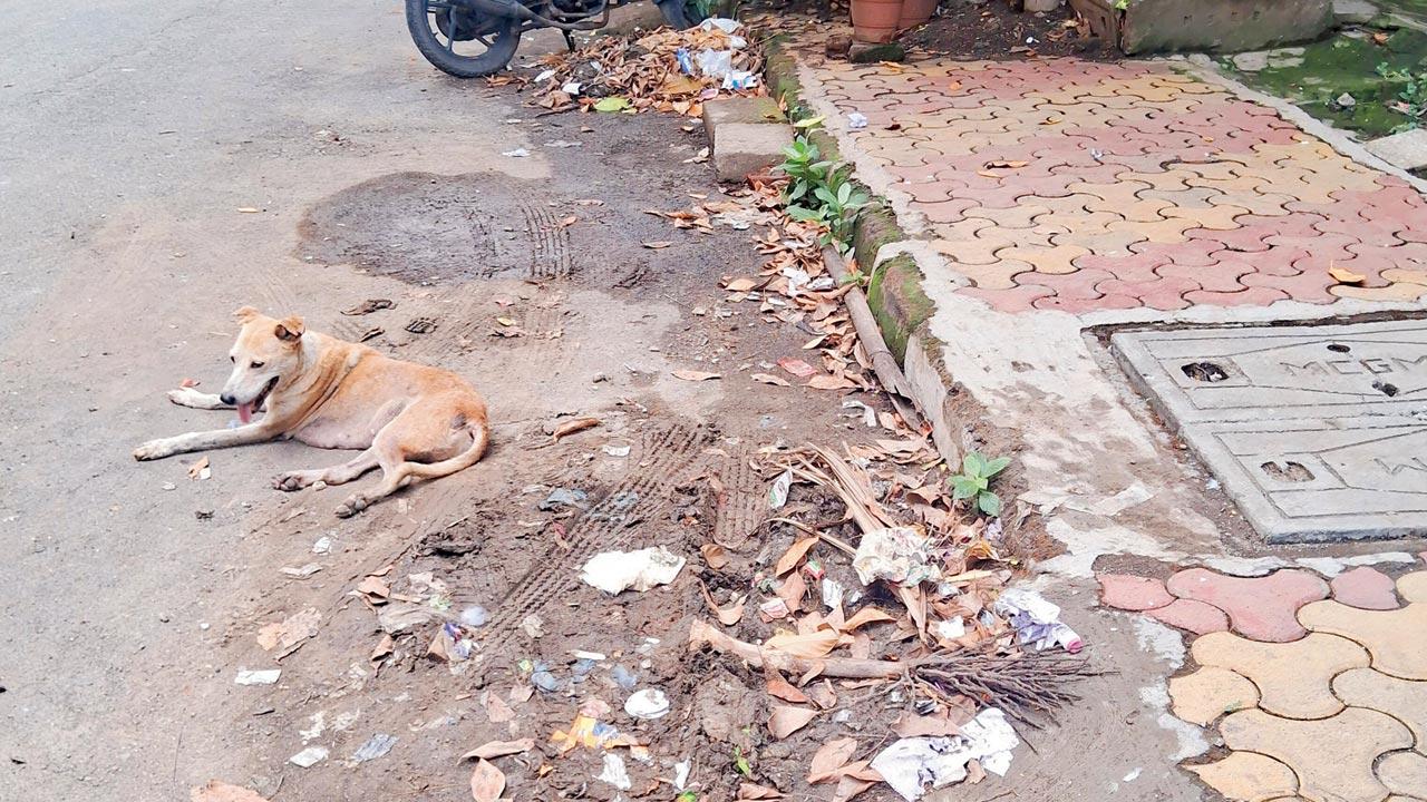 Silt has remained on the road for five days in Kannamwar Nagar