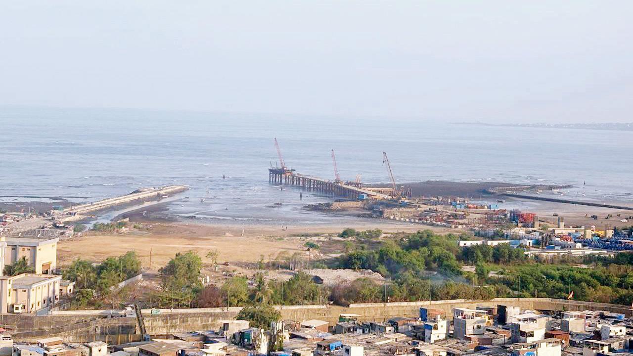 NGO alleges green cover loss at Khar Danda, Juhu due to VBSL work in Mumbai