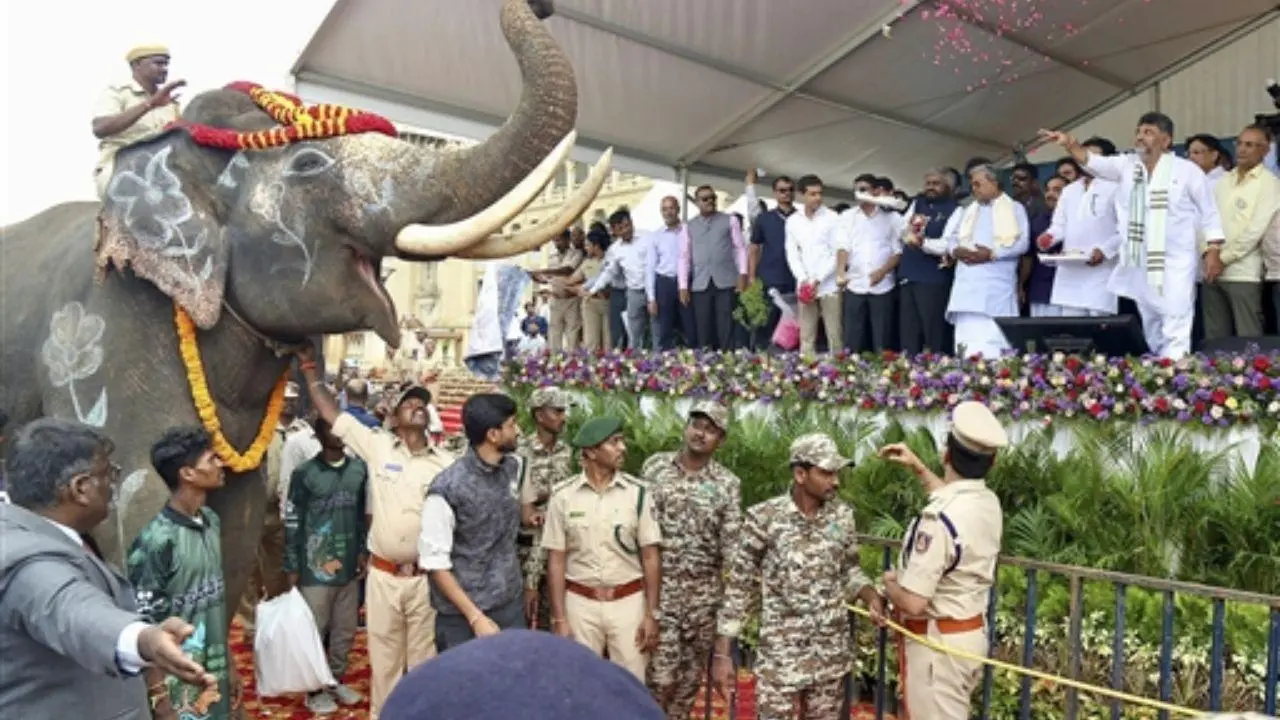 IN PHOTOS: Karnataka govt hands over kumki elephants to Andhra Pradesh