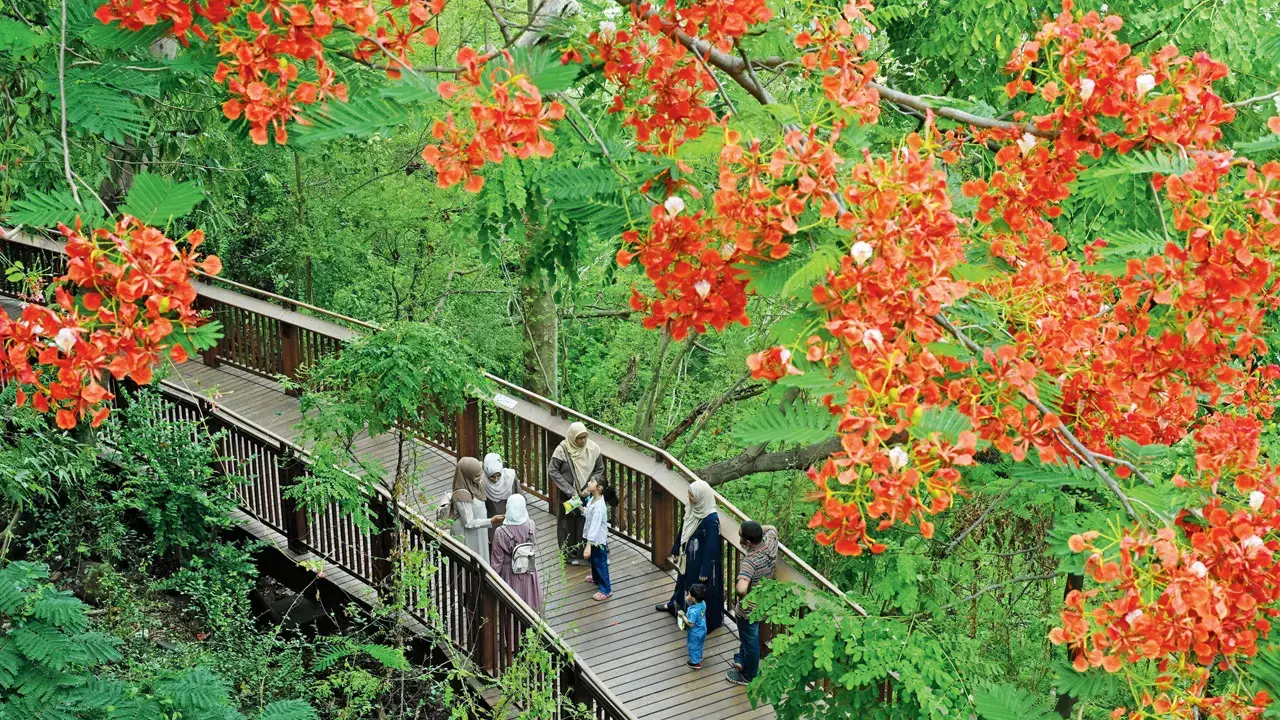 Ensure Malabar Hill walkway’s charm isn’t lost