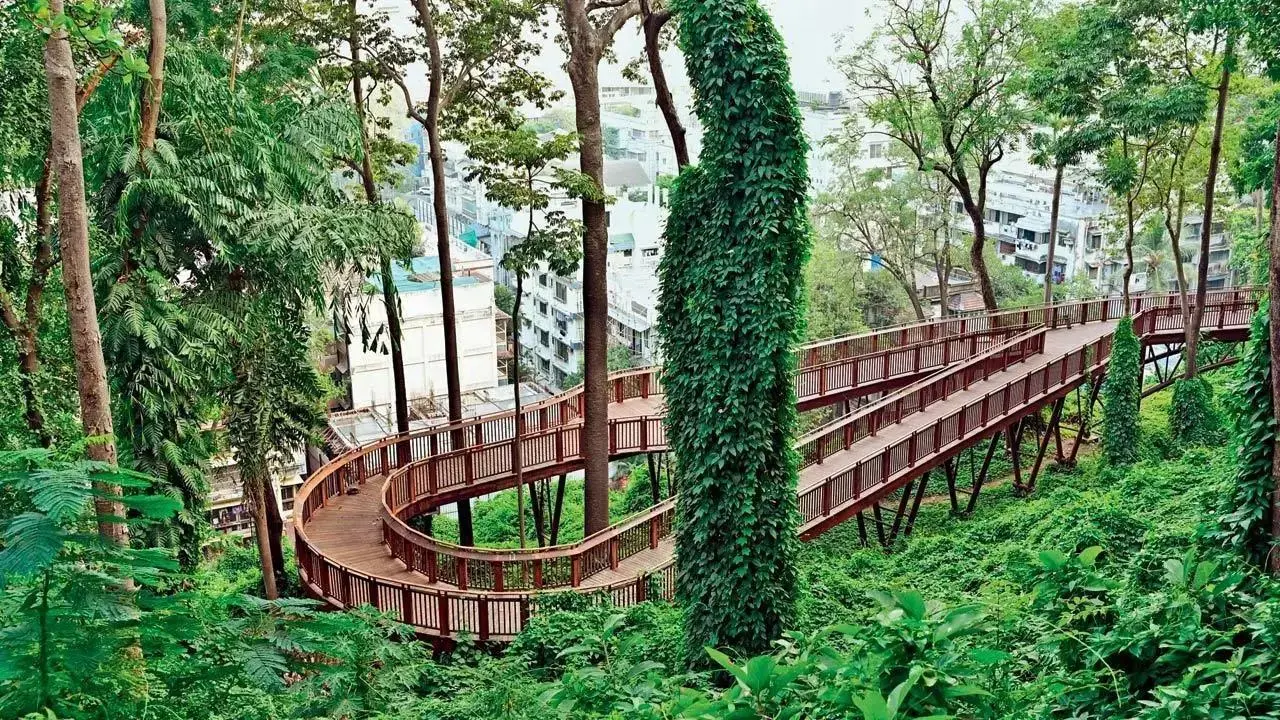 Summer 2025: Explore these 5 places to beat the heat amidst nature in Mumbai