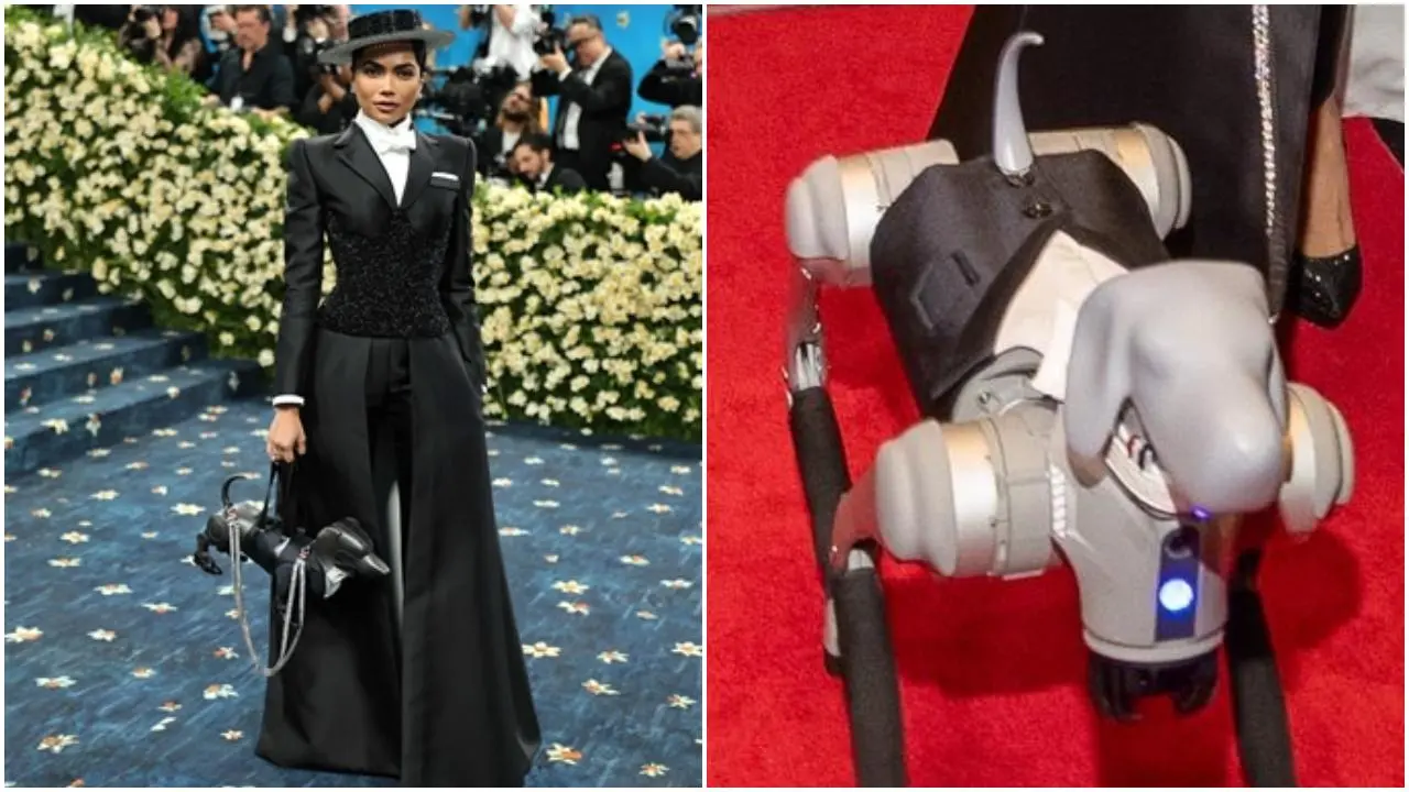 Met Gala 2025: After butterfly dress in 2024, Mona Patel stuns with robotic dog 