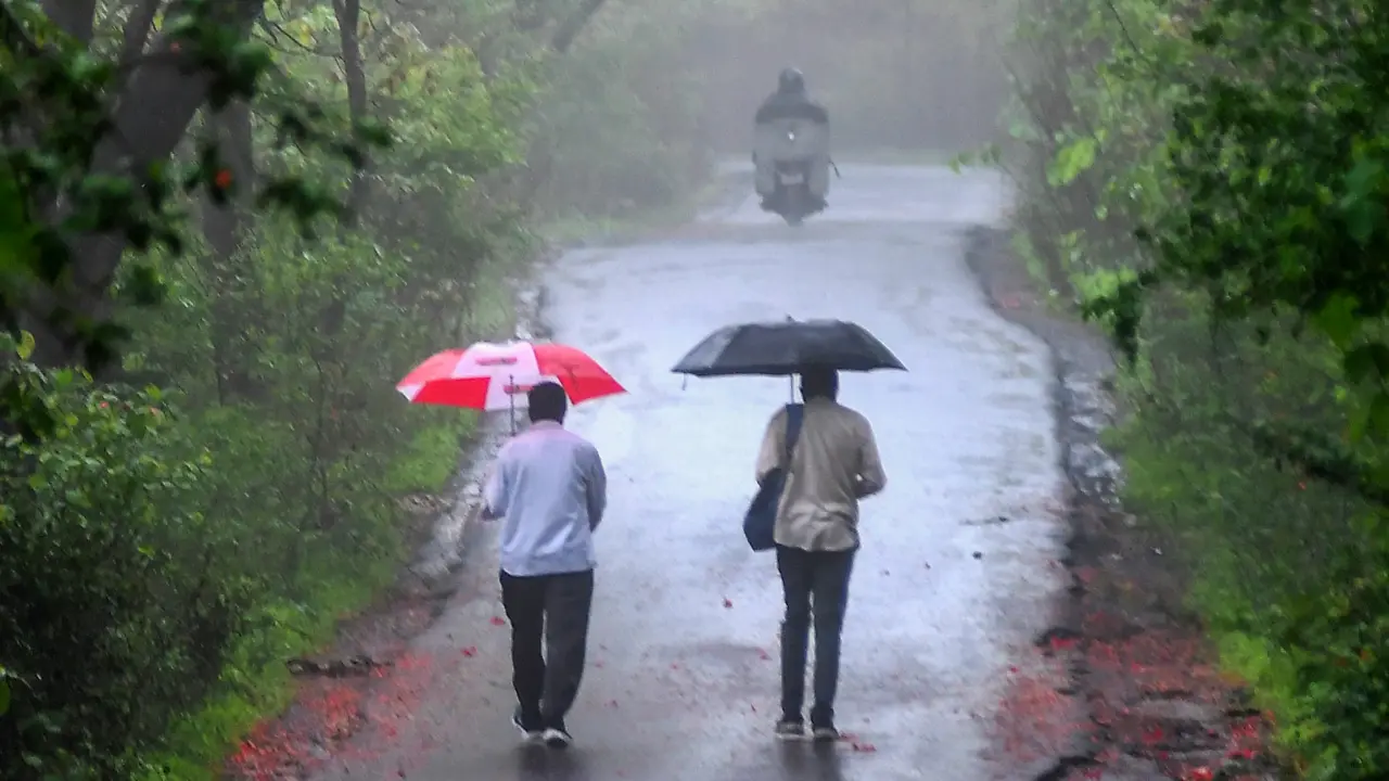 Mumbai weather updates: Light to moderate rainfall likely today