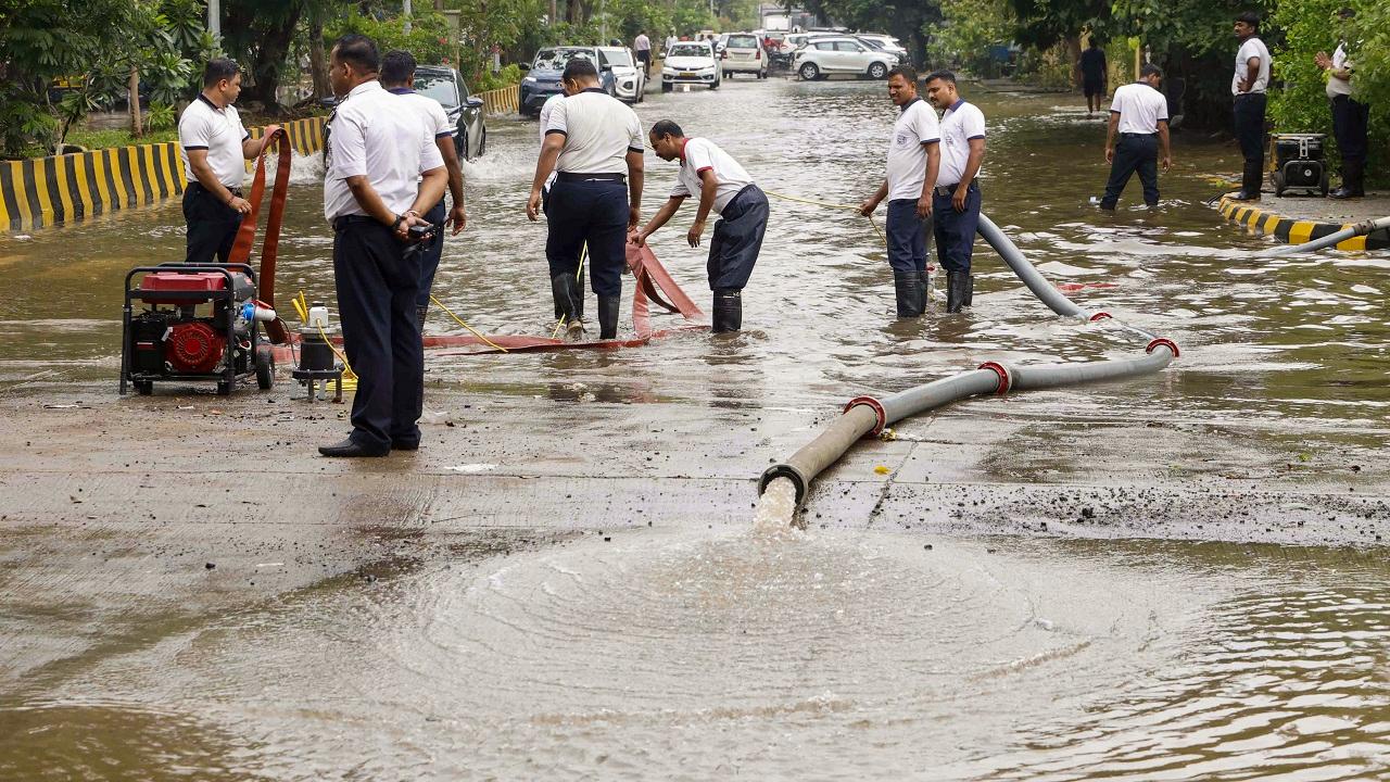 Mumbai rains: Over 40 birds, wild animals rescued in city and surrounding areas