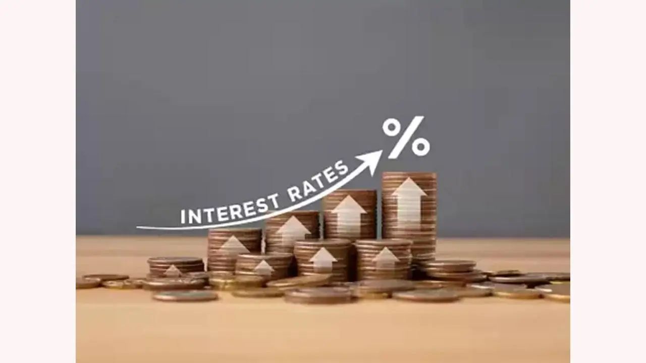Highest interest fixed deposits in India: the ultimate investment guide