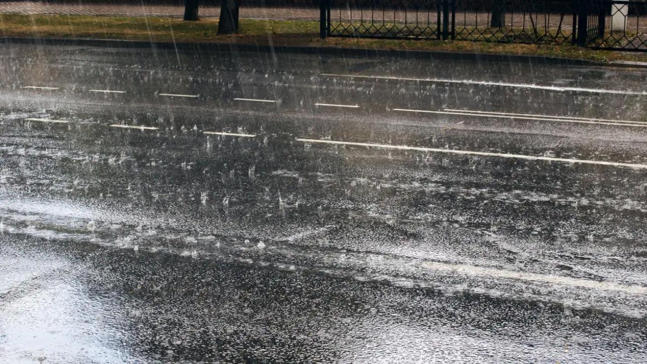 Civic bodies in Thane, Navi Mumbai issue directives for monsoon preparedness
