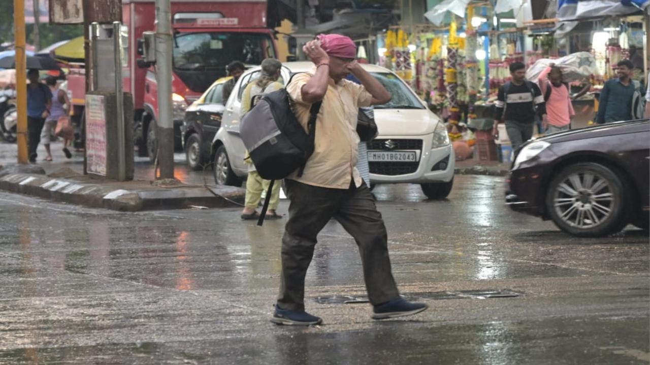 The maximum and minimum temperatures are likely to be around 30 degrees Celsius and 24 degrees Celsius, respectively. PIC/SAYYED SAMEER ABEDI  