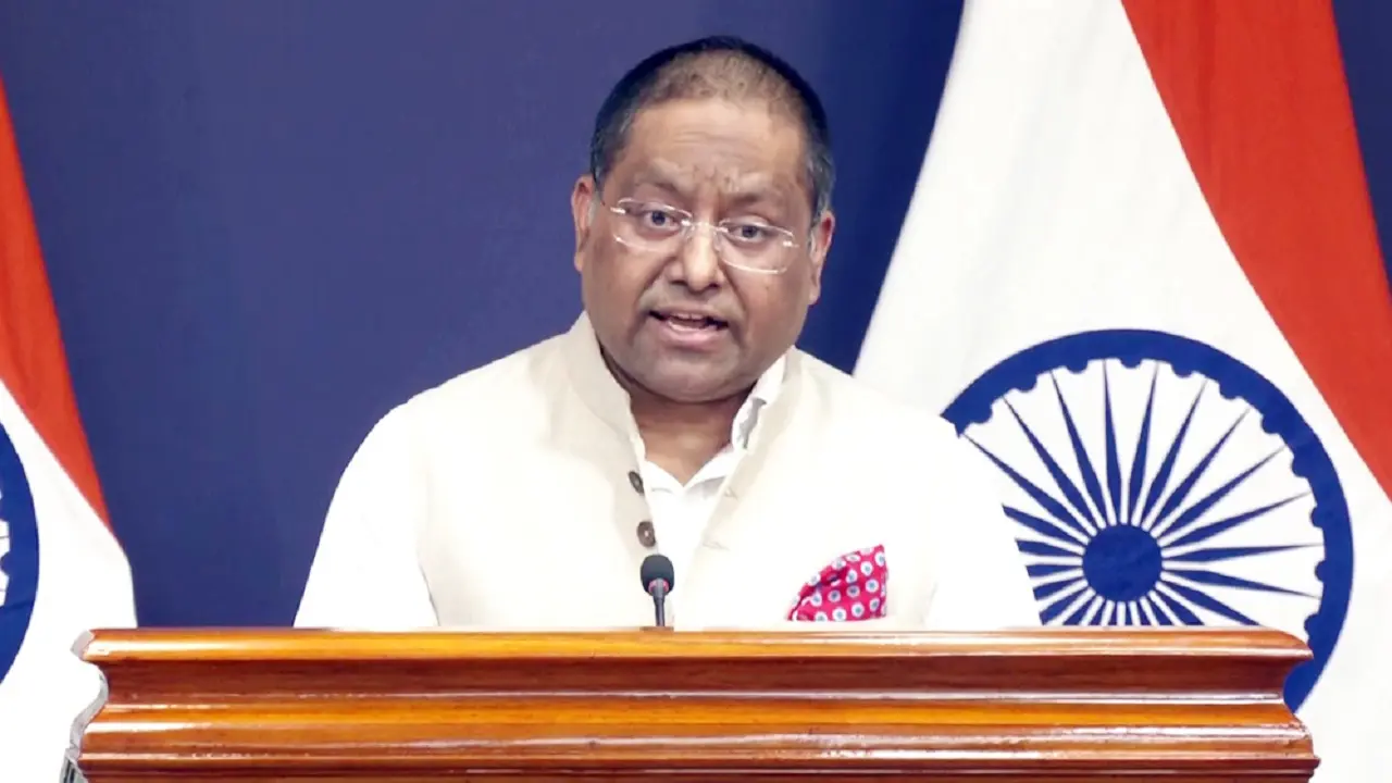 People staying in India illegally will be dealt with as per law, says MEA
