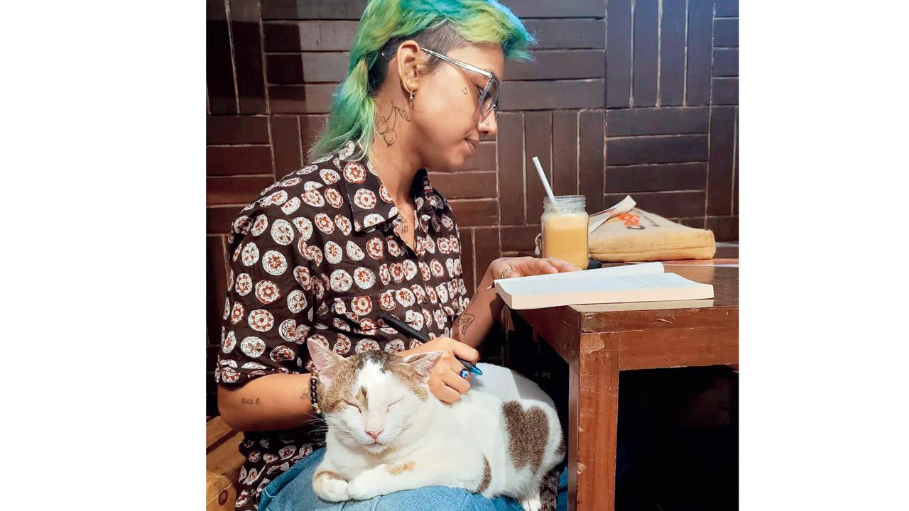 A cat lounges on a reader’s lap.  PIC COURTESY/CAT CAFE ON INSTAGRAM