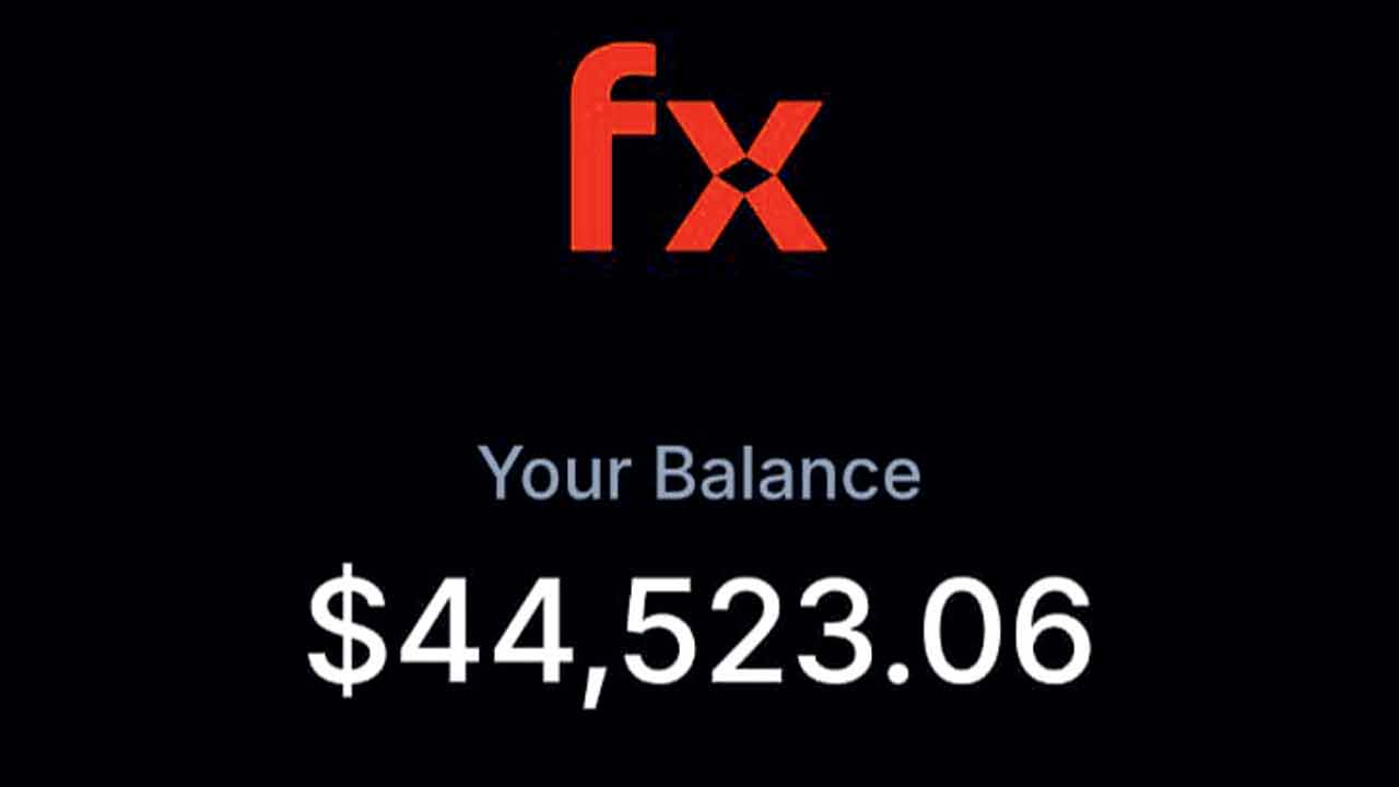 Screenshot of the website showing the victim’s profits