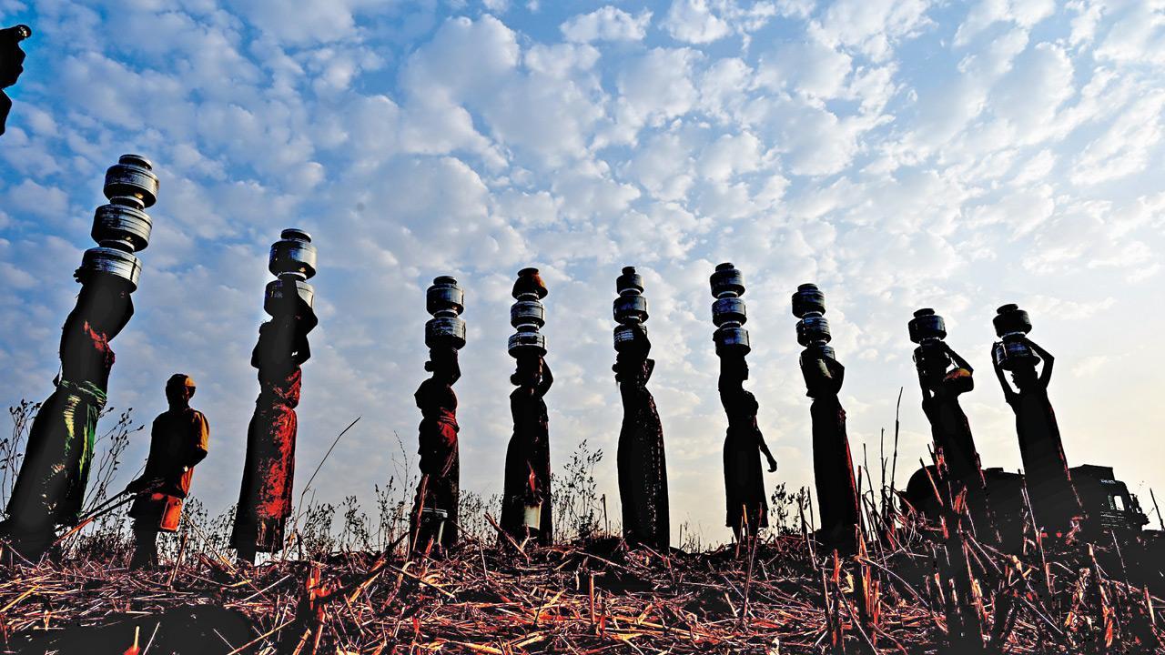 In Photos: Shahpur villagers walk 3 km daily for water amid severe shortage