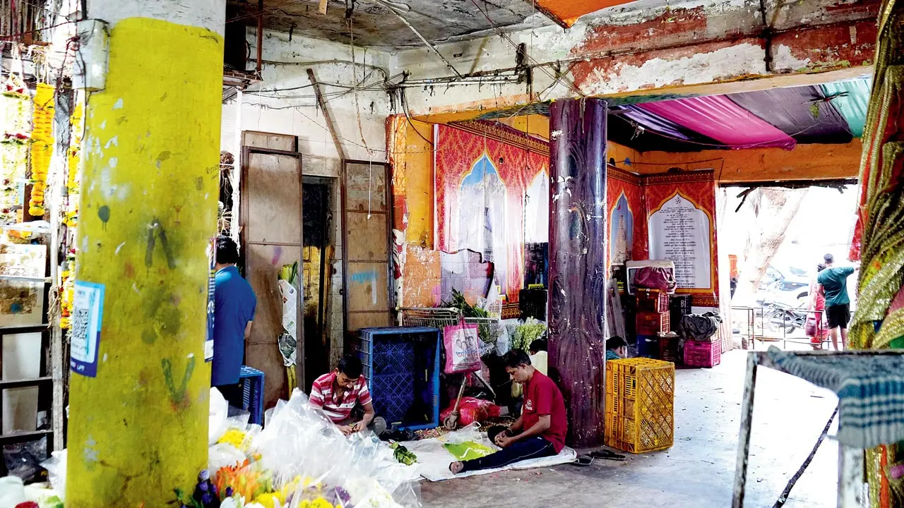 As Sunday mid-day headed to the market, we found walls and ceilings crumbling, with peepal trees sprouting from entryways, and watched our feet constantly to prevent tripping over the uneven flooring or landing in the many puddles inside the structure