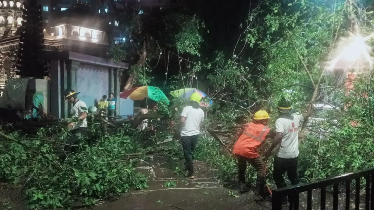 Two tree-fall incidents reported in Thane; no injuries reported