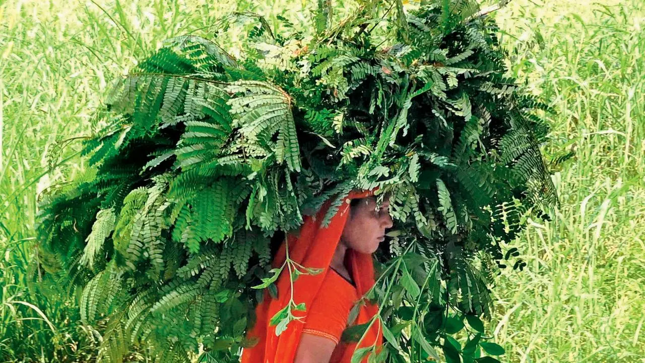 Mumbai Diary: Tuesday Dossier