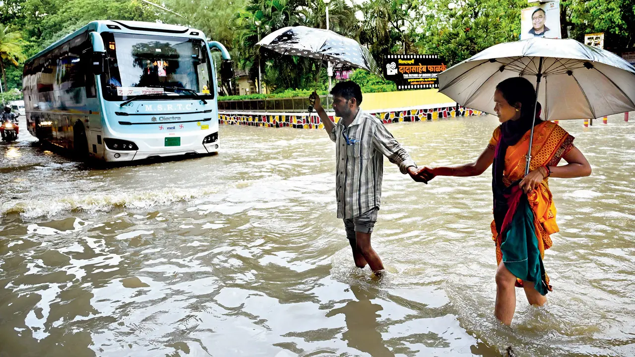 Who will clean up the BMC?
