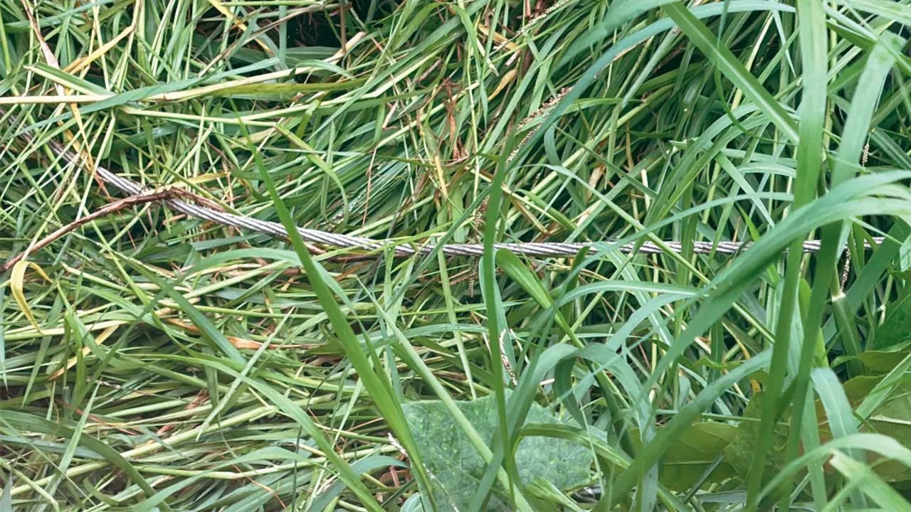 Vasai: 22-year-old man electrocuted while cutting grass