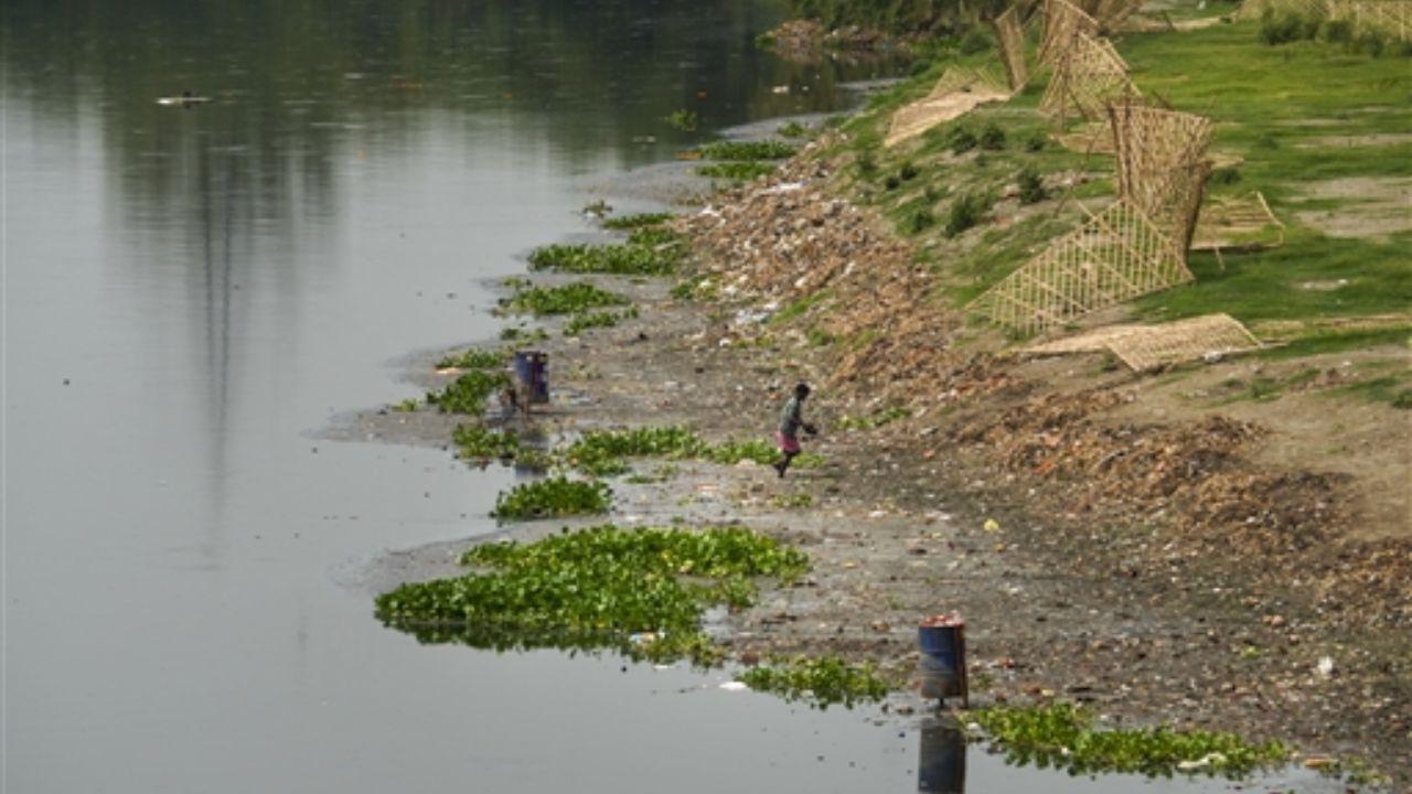 These plants will treat wastewater at its source before it reaches major drains, helping to reduce pollution in the river