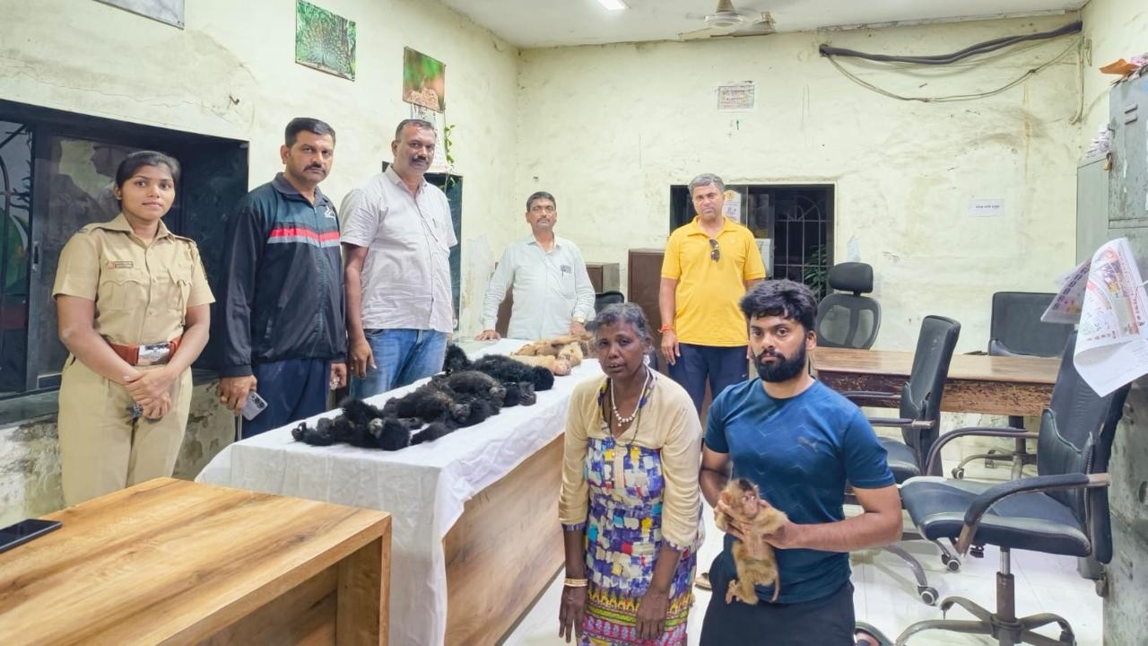Forest Department raids Mumbai hotel, seizes rare gibbons and macaques