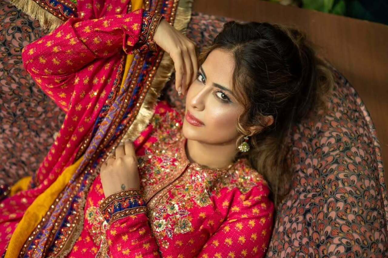 The stunning Anarkali features detailed embroidery around the neck and front, with multiple contrasting shades at the bottom