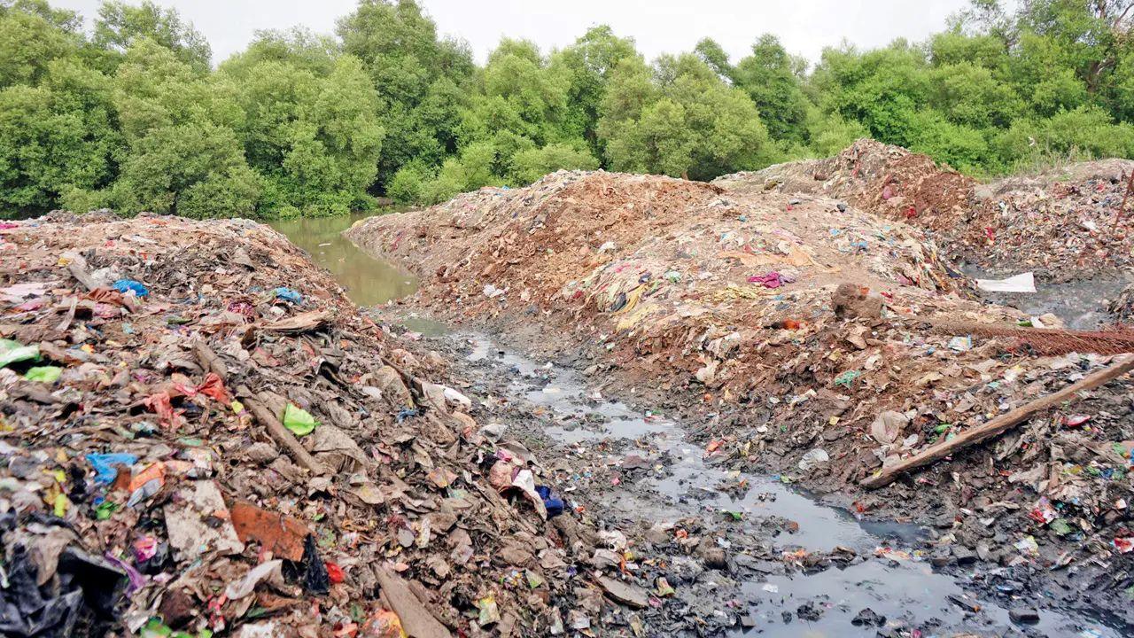 The main cause of waterlogging is the garbage. Every time the nullah is cleaned, the waste is pulled out but left on the side, where it eventually flows back into the water and into the sea