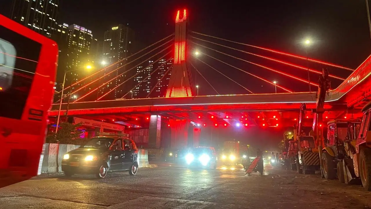 IN PHOTOS: Mumbai’s first cable-stayed bridge at Reay Road