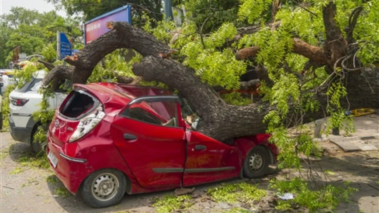 IN PHOTOS: Dust storm and rains lash parts Delhi