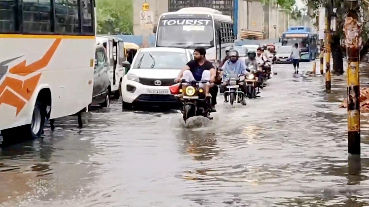 A 28-year-old woman and her three children died when their house in Najafgarh area collapsed after a tree fell on it during heavy rain in the national capital on Friday morning, an official said