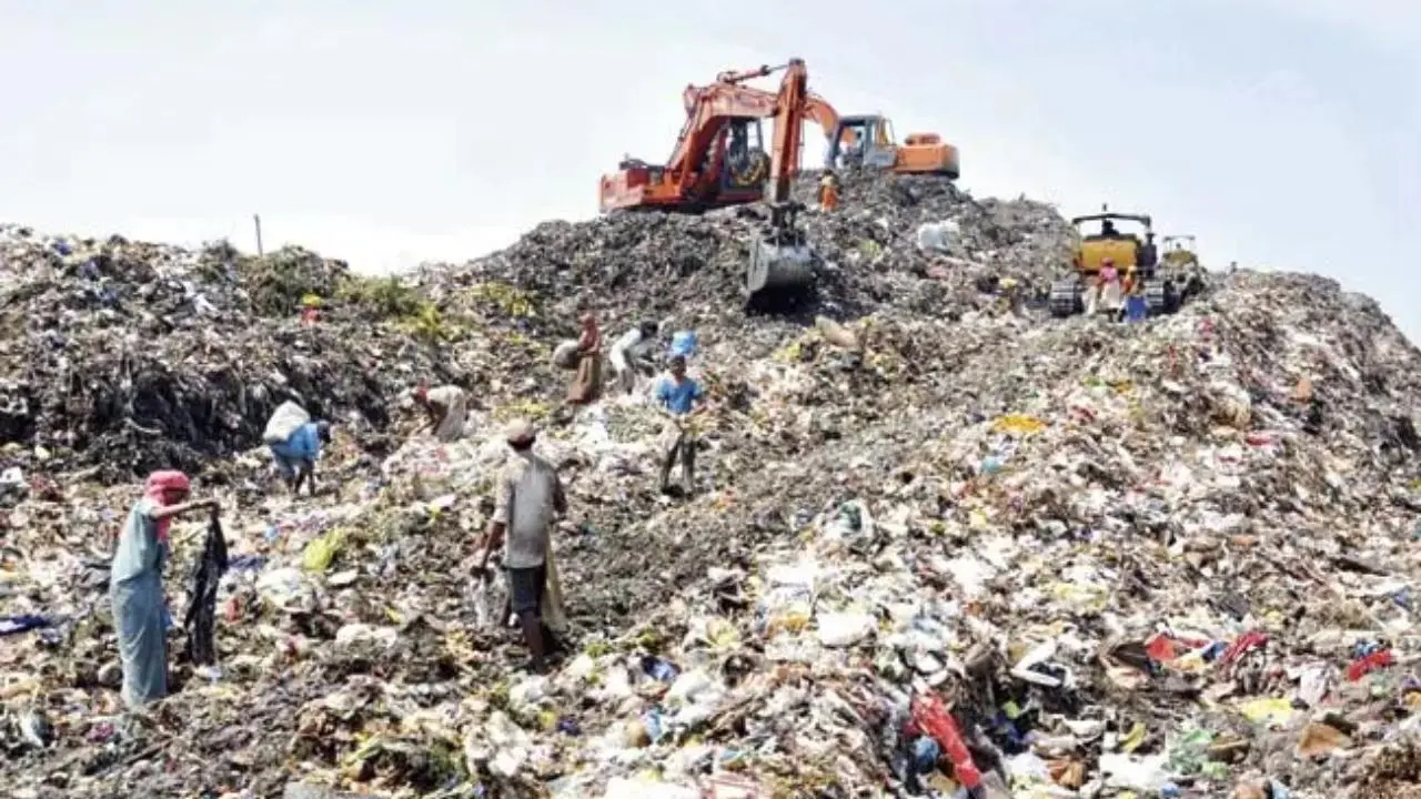 BMC to clear Deonar landfill for Dharavi rehab housing, floats tender