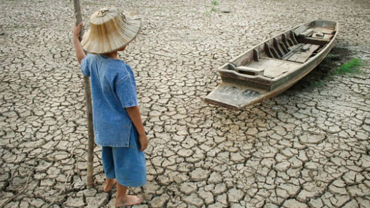 WMO warns global temperatures could break heat records over next five years