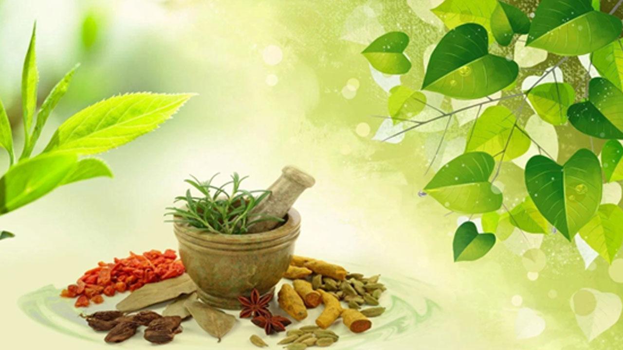 The Root Cause Approach in Ayurveda: Dr. Joshi’s Holistic Healing Philosophy