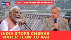 India cuts water flow to Pakistan through Baglihar dam after Indus Treaty halt
