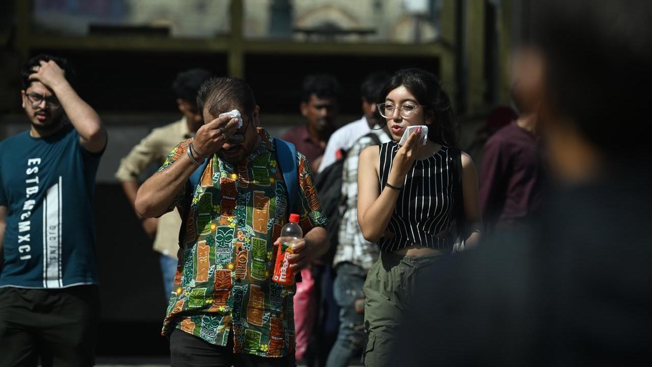 The India Meteorological Department (IMD) on Saturday predicted that Mumbai is expected to experience a mainly clear sky