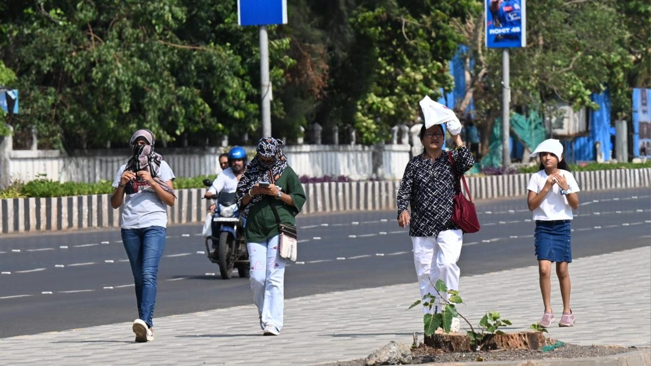There is a possibility of thunderstorms and light to moderate rain in the evening or night, both in the city and surrounding areas, it predicted on May 18