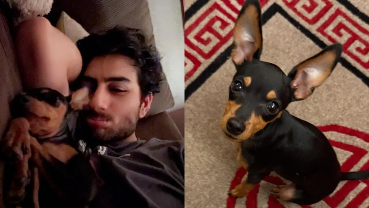 'Hello to my little daughter': Ibrahim Ali Khan adopts puppy Bambi Khan