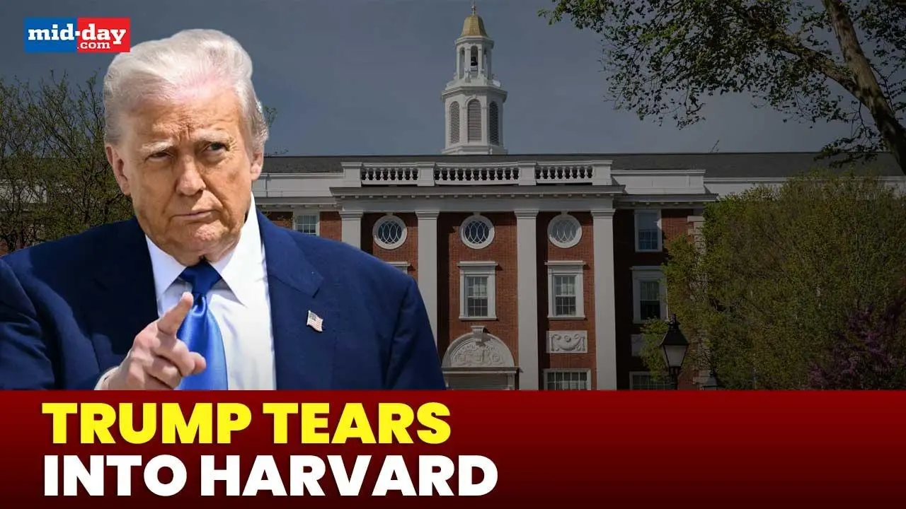 Donald Trump blasts Harvard over remedial math move - Watch video
