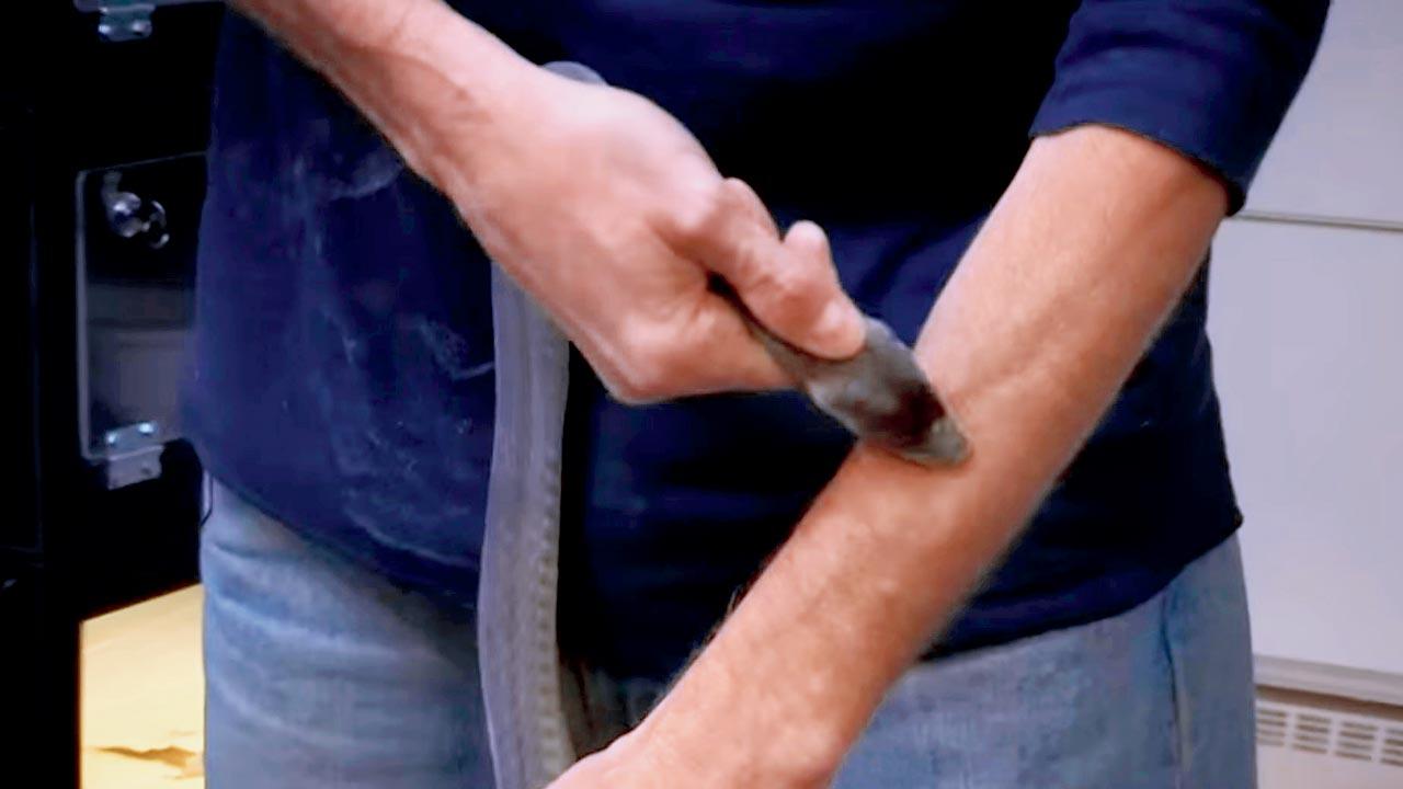 Tim Friede lets the one of the deadliest snakes — black mamba —  bite in hopes of his body formulating an anti-body for a super anti-venom for the masses. PIC/YOUTUBE@timfreide578