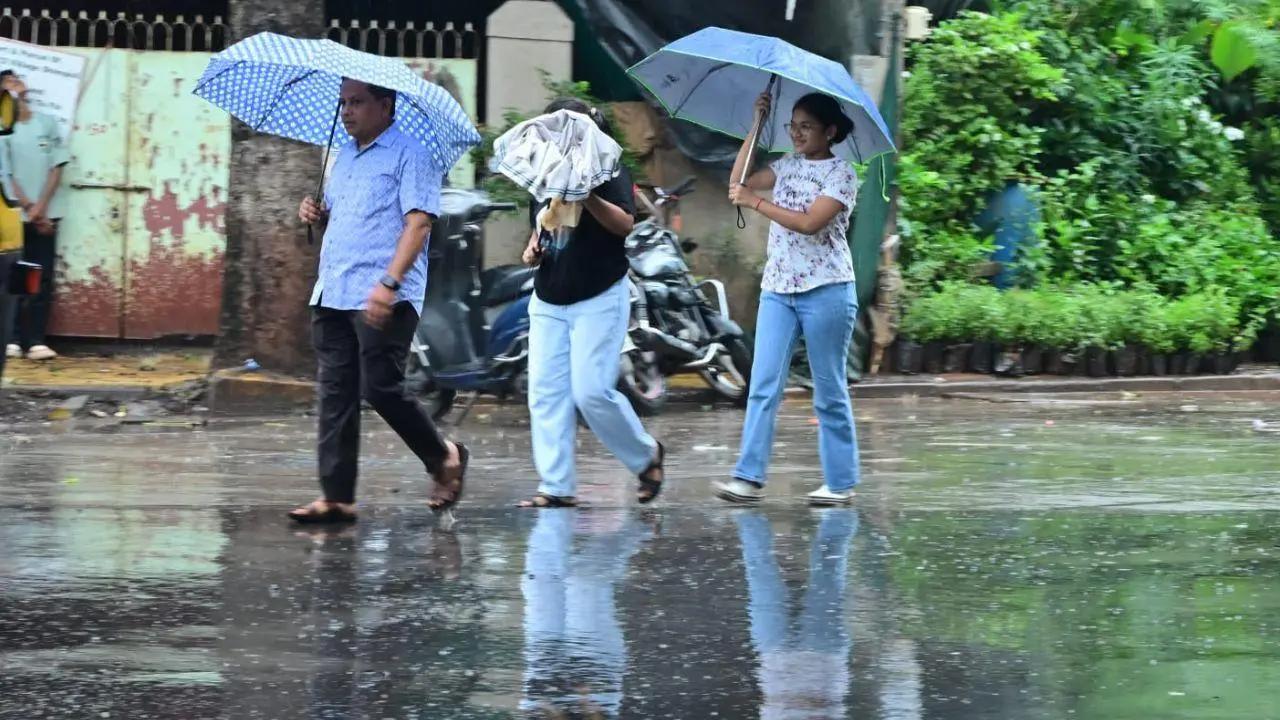 IMD predicts moderate to heavy rainfall today, issues yellow alert