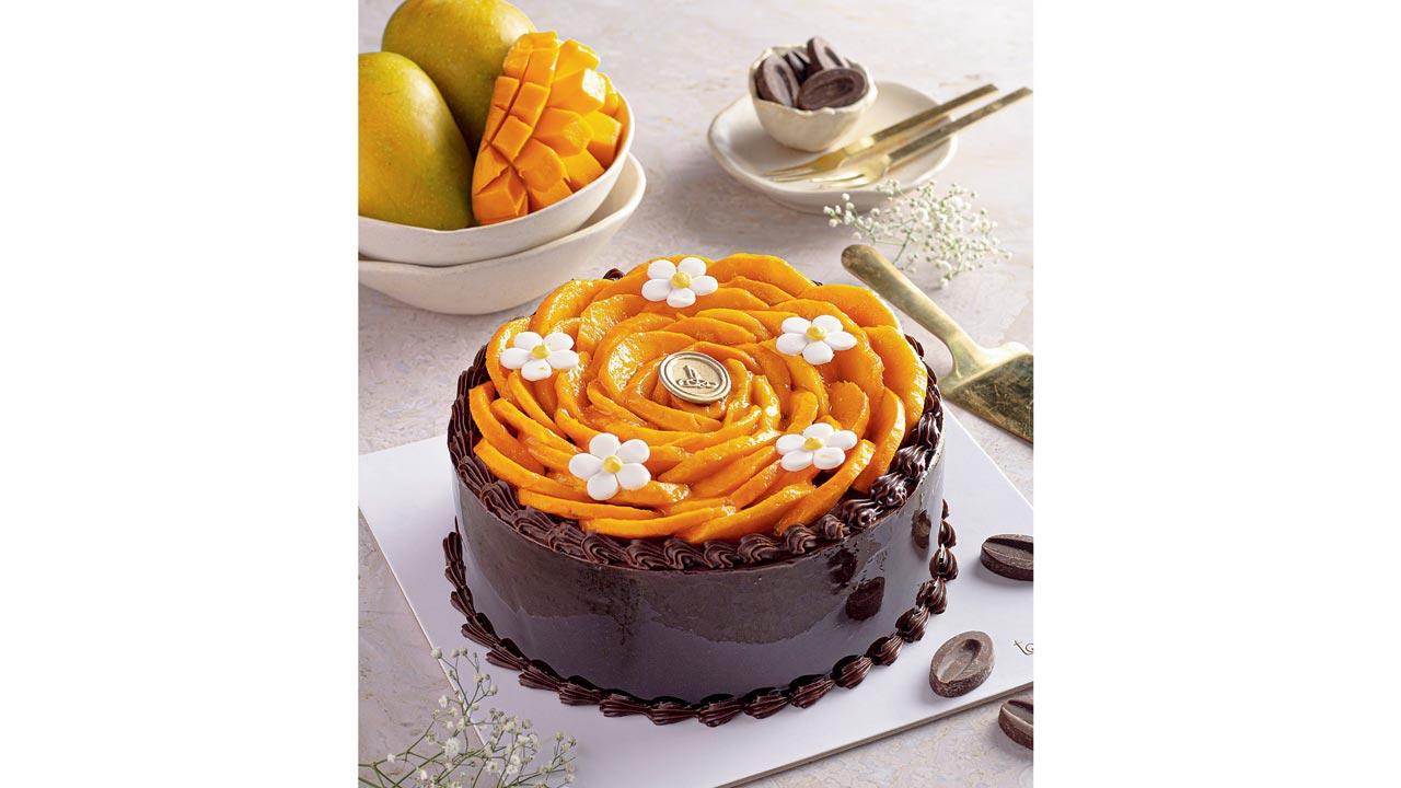 Who takes  the cake?