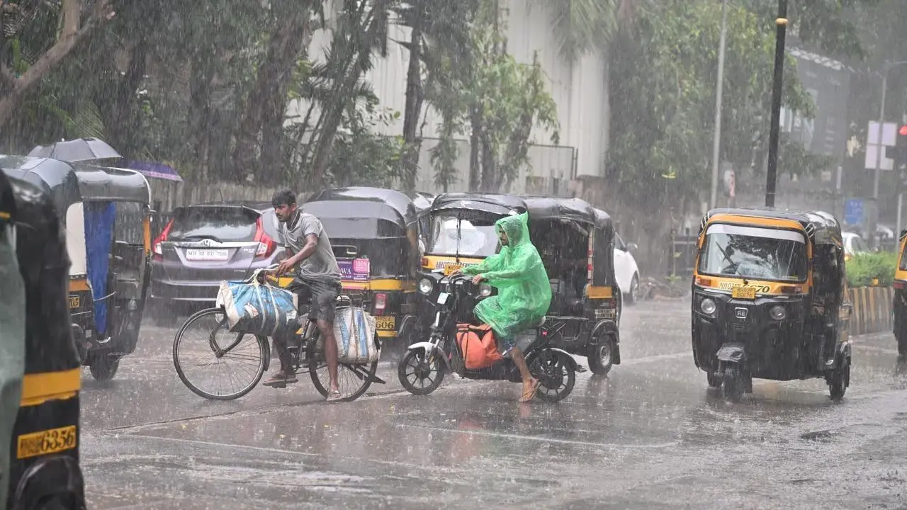 IMD issues yellow alert for Mumbai Thane and Palghar moderate rainfall likely 