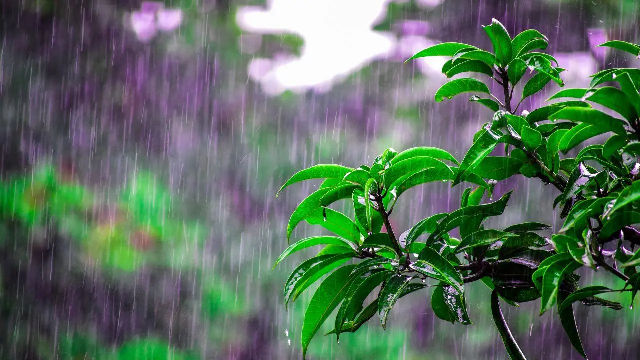 Southwest monsoon is likely to set over Kerala on May 27, says IMD