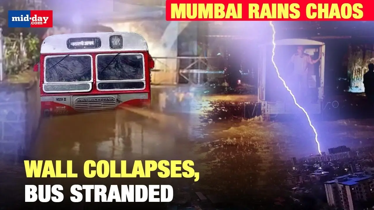 Mumbai rains: IMD issues Yellow alert, heavy rains bring traffic and flooding