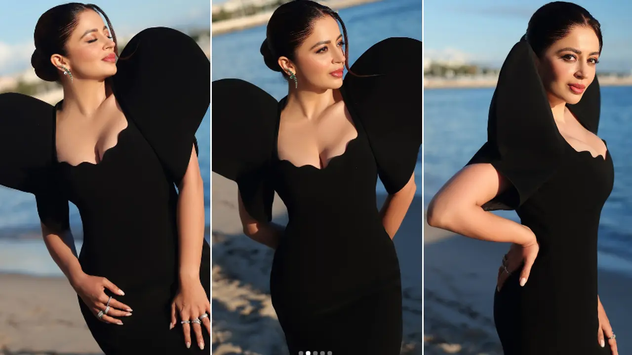 Neha Pendse at Cannes 2025: It's a fashion overload!