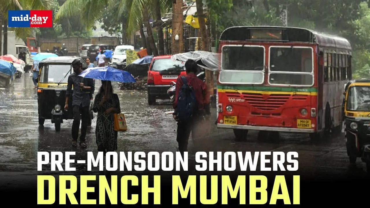 Mumbai Rains: Pre-Monsoon showers in Mumbai bring relief from humidity