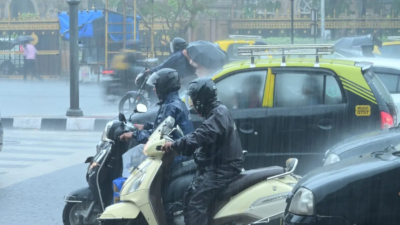 A low tide of 1.59 meters is anticipated at 7:06 pm on Wednesday, while a significantly lower tide of 0.17 meters is expected at 6:48 am on Thursday, May 29