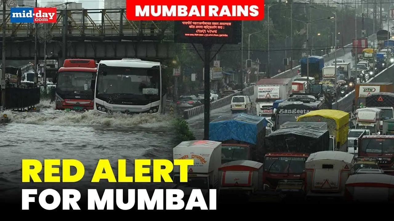 Mumbai rains: IMD issues red alert for city; waterlogging reported