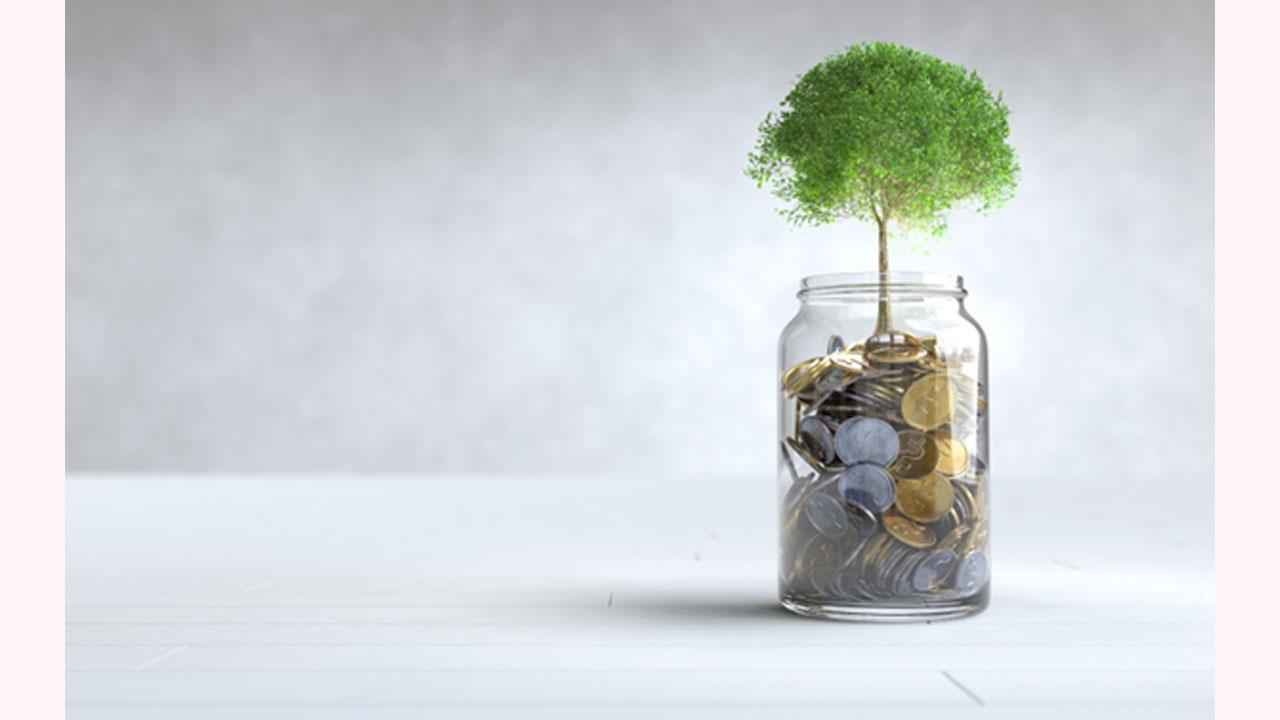 Which type of Mutual fund Is Right for Your Risk Personality?